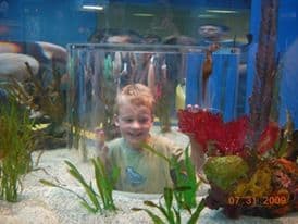 Aquarium in the Smokies