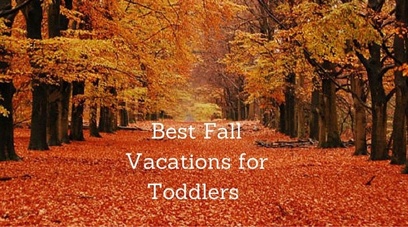 best fall vacations with toddlers family vacations u s best fall vacations with toddlers family vacations u s