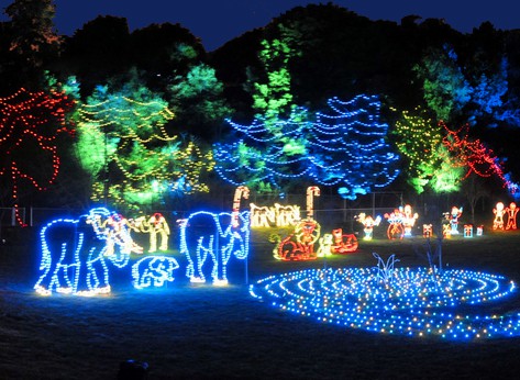 10 christmas light displays in the us family vacations u s allison christmas spectacular