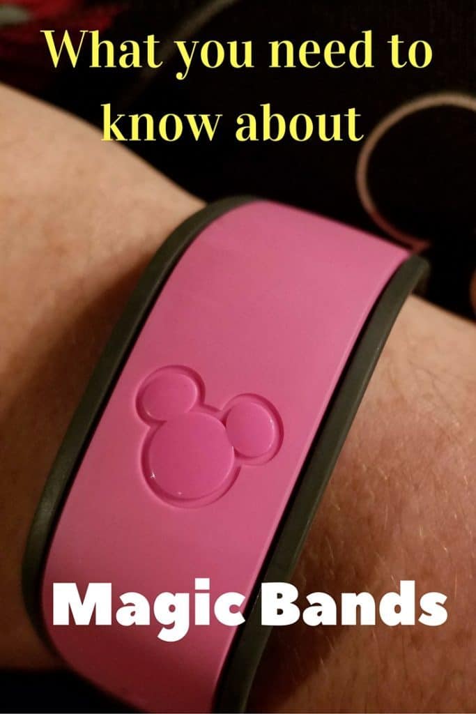 What you need to know about Disney's Magic Bands