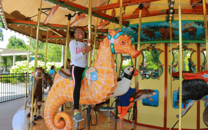 Detroit Zoo Carousel
