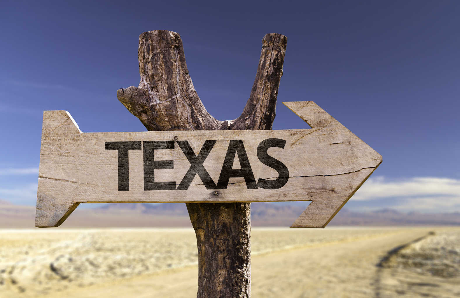 Texas: The Land of Plenty