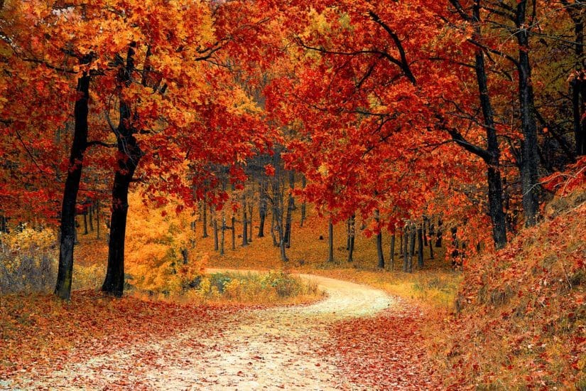 Best Fall Vacations With Toddlers Family Vacations U S Best fall vacations with toddlers family vacations u s