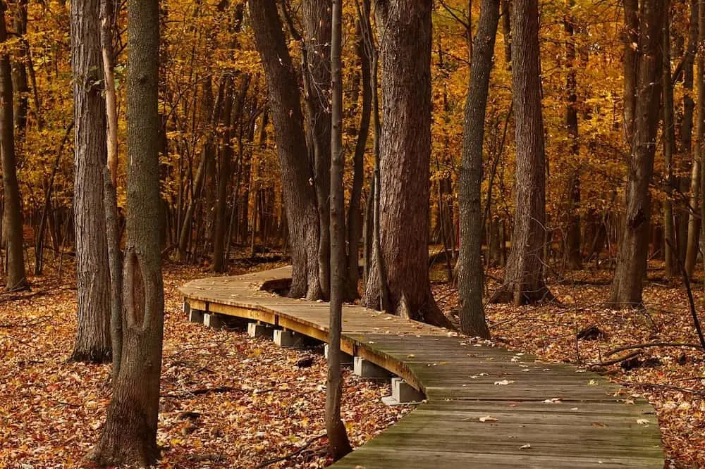Top 5 Spots to see Fall Colors