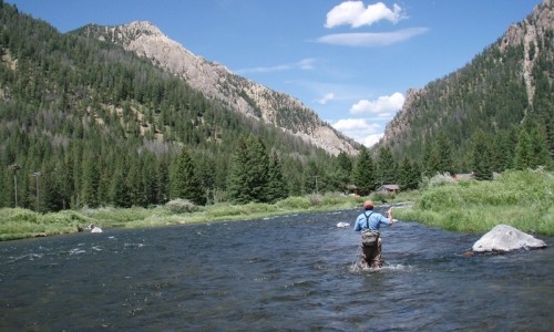 Family Fun in Bozeman Montana
