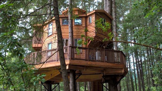 Treehouse Vacation