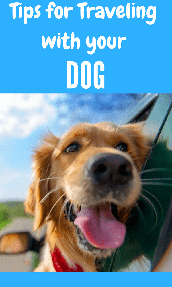 Tips for Traveling with your dog