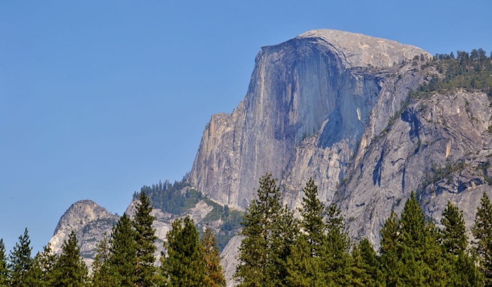 Things to Do with Kids in Yosemite National Park
