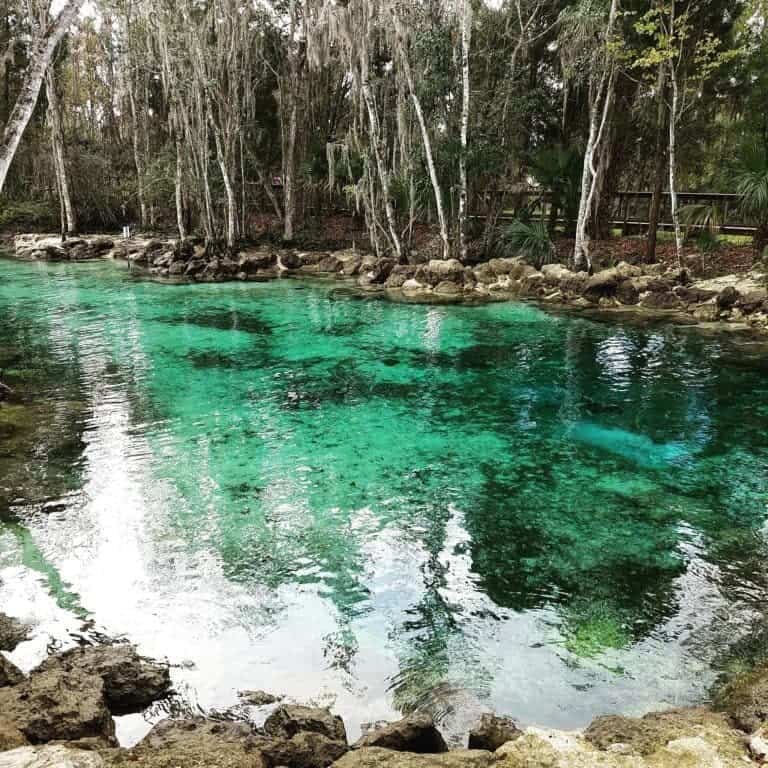 Crystal River Florida The Small town with the Big Heart Family Vacations U.S