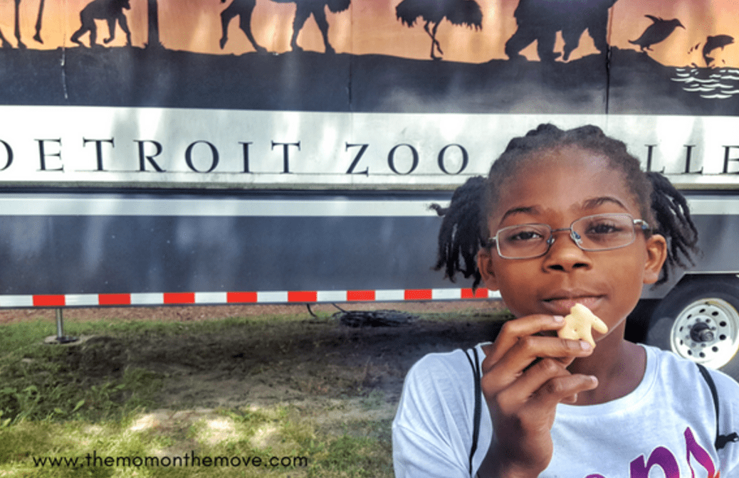 How to do the Detroit Zoo with Tweens and Teens Family Vacations U.S.