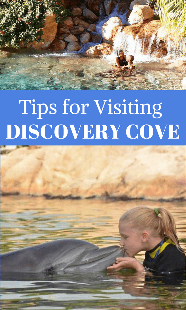 Considering a trip to Discovery Cove in Orlando? We have tips for making your visit a success. 