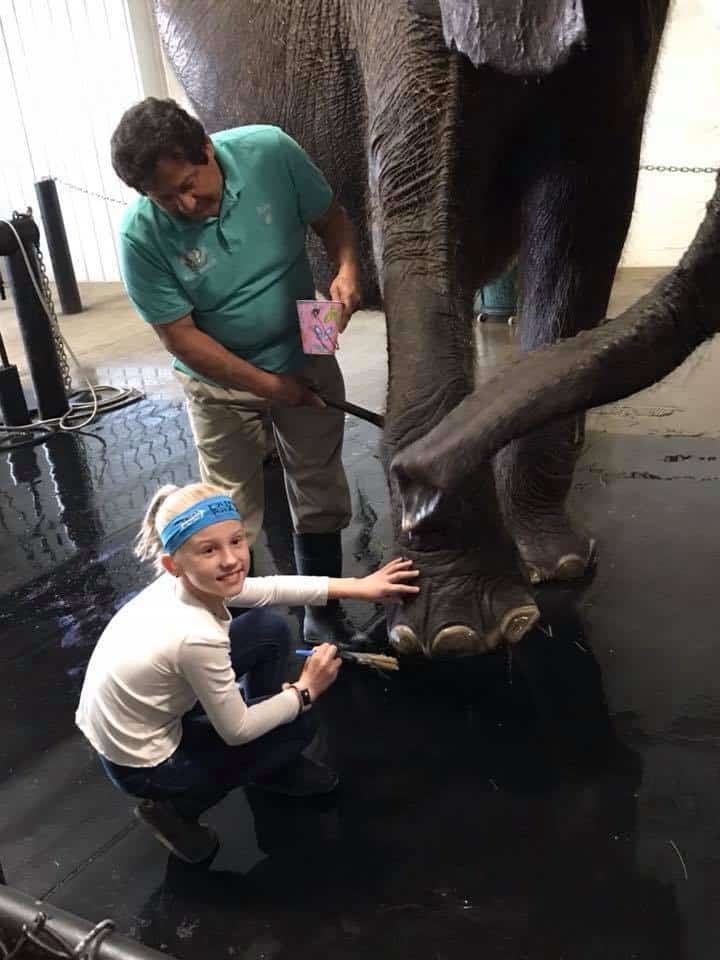 Elephant Encounter in Paoli, IN