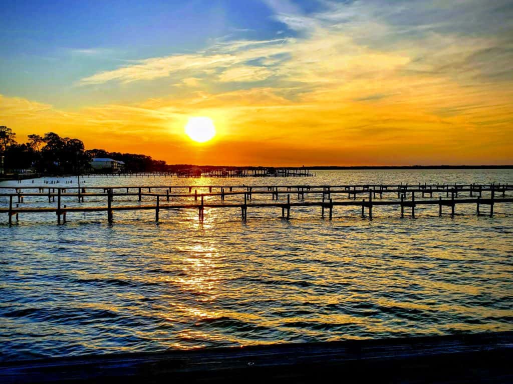 Joyous Journey Savoring Memories While Out on the Road. Family